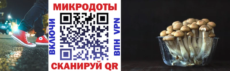 наркошоп MEGA зеркало Галлюциногенные грибы мицелий Октябрьский