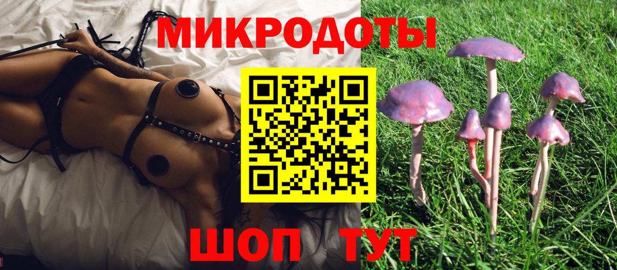 Галлюциногенные грибы Psilocybe  Вход с VPN  Октябрьский 