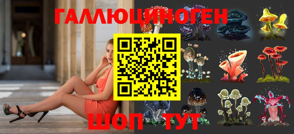 Галлюциногенные грибы Psilocybe Октябрьский