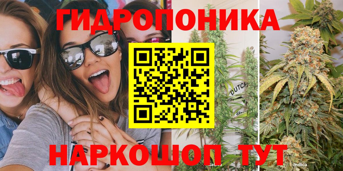 Шишки марихуана сатива  Вход с VPN  Конопля индика  Октябрьский  Каннабис планчик 